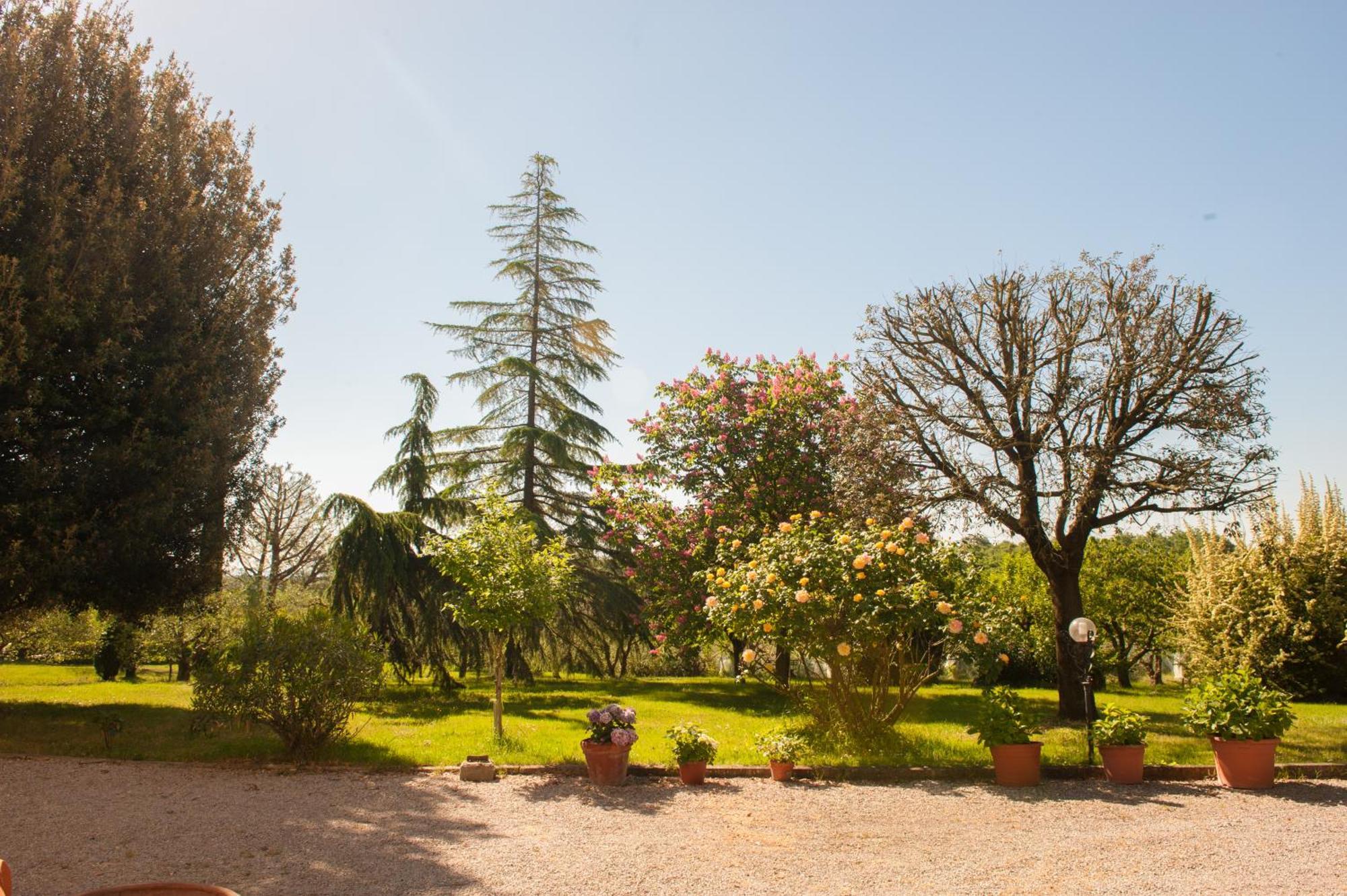 Agriturismo Villa La Morina كورتونا المظهر الخارجي الصورة