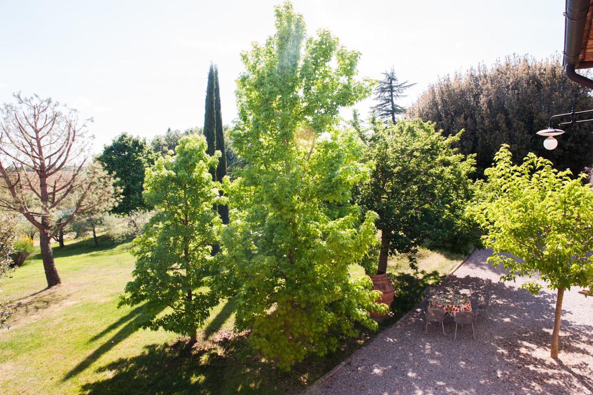 Agriturismo Villa La Morina كورتونا المظهر الخارجي الصورة