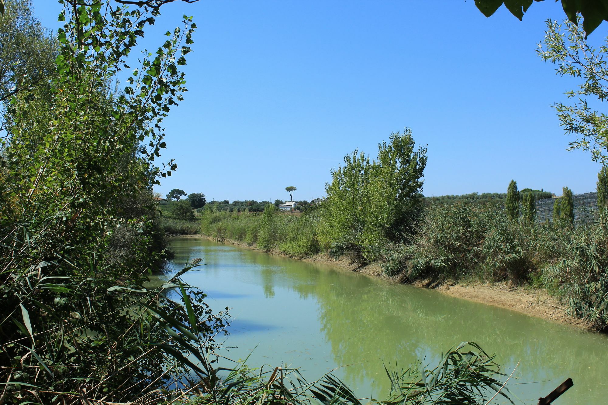 Agriturismo Villa La Morina كورتونا المظهر الخارجي الصورة